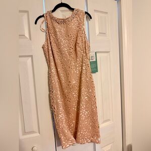 Embellished Laser-Cut Midi Dress in Blush Pink